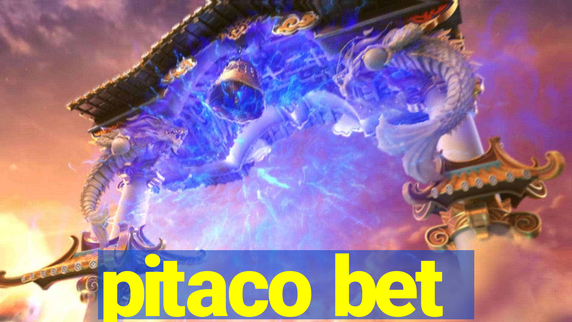 pitaco bet